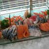 1 ที่ ร้านอาหาร Cafe de nimes Grand sukhumvit bangkok hotels