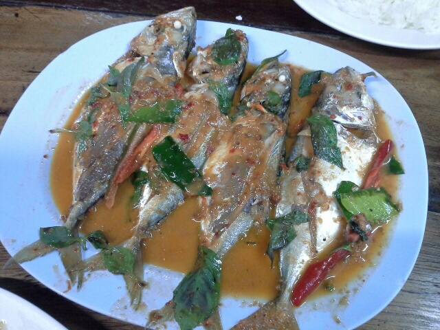 ฉู่ฉี่ปลาทู สดอร่อยมากเลย ที่ ร้านอาหาร น้าติ