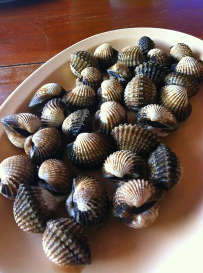 หอยแครงลวก ที่ ร้านอาหาร สังเวียน ซีฟู๊ด