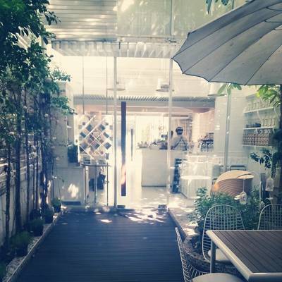 ร้านอาหาร Peony Teafe' & Gallery