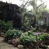 บรรยากาศภายในร้าน ที่ ร้านอาหาร บ้านก้ามปู ทรอปิคอล คาเฟ่