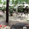 บรรยากาศดีมากครับ :) ที่ ร้านอาหาร บ้านก้ามปู ทรอปิคอล คาเฟ่