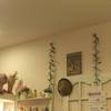 ร้านอาหาร Sweet Mania