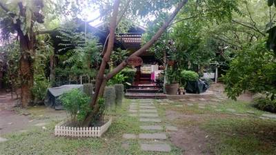 ร้านอาหาร Mai bakery in garden