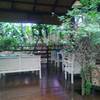 ร้านอาหาร Mai bakery in garden
