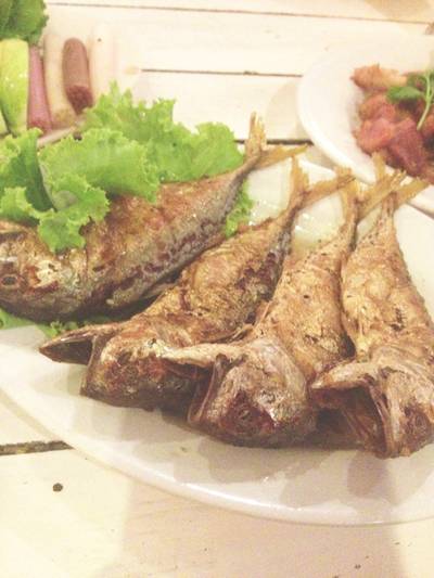 ปลาทูทอดราดน้ำปลา ที่ ร้านอาหาร จานโปรด