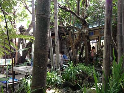 ร้านอาหาร บ้านในสวน