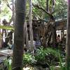 ร้านอาหาร บ้านในสวน