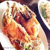 กระพงทอดน้ำปลา ที่ ร้านอาหาร ครัวลุงญา