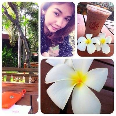 ช็อกโกแลตเย็น หวานเยิ้ม อร่อย ชิลๆ ยาวไปๆ ในสวน 94 Coffee >^< ที่ ร้านอาหาร 94 Coffee ช็อกโกแลตเย็น หวานเยิ้ม อร่อย ชิลๆ ยาวไปๆ ในสวน 94 Coffee >^< ที่ ร้านอาหาร 94 Coffee